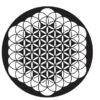 MANDALA - Imagen 2
